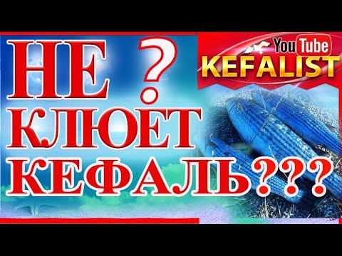 Видео: Рыбалка на кефаль! Почему не клюёт кефаль ??? Как ловить кефаль???