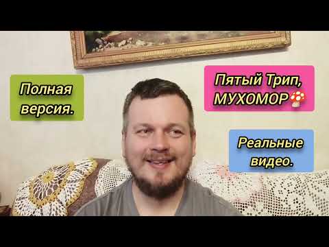 Видео: Пятый мой Трип, МУХОМОР. Реальные кадры. Полная версия. #мухомор #бог #боги #трип #осознанность