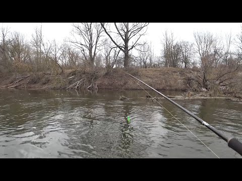 Видео: ТВИЧИНГ НА РЕКЕ. ЩУКА ЛЕЗЕТ В ТРАВУ