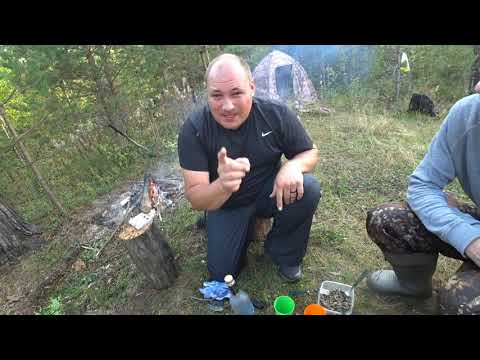 Видео: В ТАЙГУ С АМЕРИКАНЦЕМ, ВОТ ЭТО ДА!! ВИСКИ, СИГАРЫ И НАЛИМ \ НОЧЬ В ТАЙГЕ \ СТЕЙК И ЖАРЕНЫЕ ГРИБЫ 18+