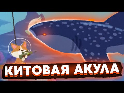 Видео: The Fishercat. РЫБА-ТИТАН: КИТОВИДНАЯ АКУЛА!