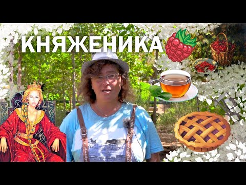 Видео: Княженика - ягода достойная княжеского двора