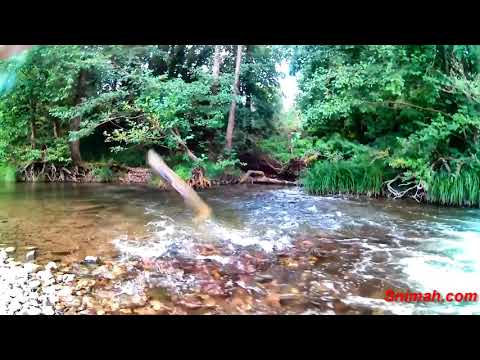 Видео: На почивка в Приморско - част 2. Река Велека - 14.09.2018