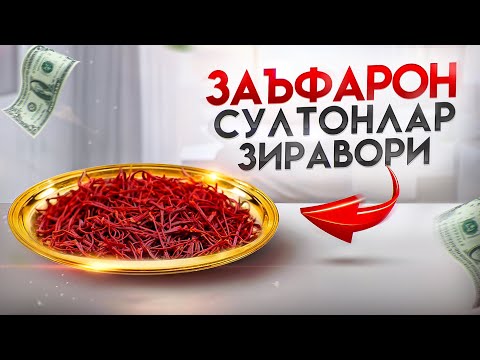 Видео: Заъфарон (шафран) – зираворлар султони ва султонлар зиравори | Доктор Гулбаҳор