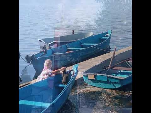 Видео: Переславль-Залесский. Троице-Сергиева Лавра. 28.08.2024