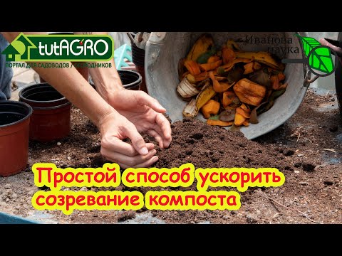Видео: СУХИЕ ЛИСТЬЯ - В ПЕРЕГНОЙ: выливаю всего одно ведро в компост и получаю готовый перегной!
