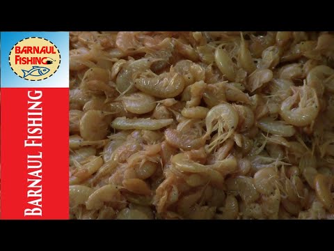 Видео: ПРИКОРМКА НА ТРОФЕЙНОГО ЛЕЩА.ИЛИ КУДА ДЕВАТЬ МОРМЫШ?