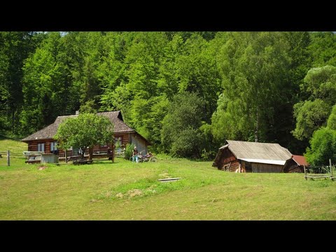 Видео: 4 дня за гранью цивилизации. Жизнь с самодостаточной семьей в отдаленной дикой местности