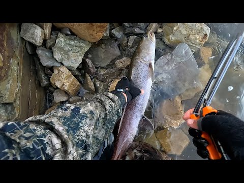 Видео: Эта река была запрещена в СССР! Чтобы поймать трофей, нужен стакан обычной советской...