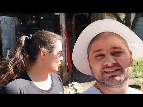 Видео: Живот на село: Фрезоване на зеленчукова градина