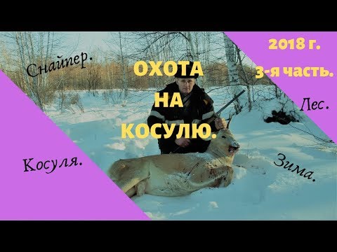 Видео: Охота на косулю. Часть 3.Удалось взять трофей.
