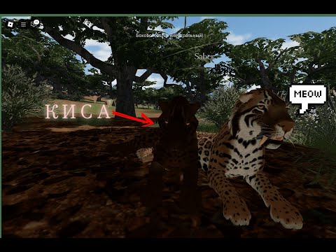 Видео: Ecos La Brea (roblox). Обзор. Разборки...