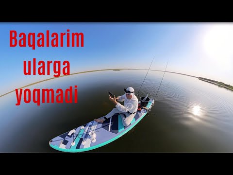 Видео: Ясама бакаларим илонбошларга ёкмади.
