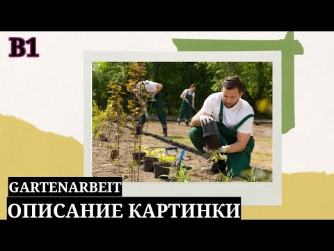 Видео: Часть 8. Auf dem Bild sehe ich. Описание картинки. Уровень В1.