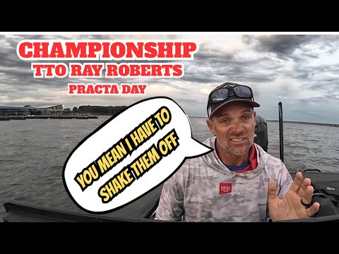 Видео: Чемпионат TTO (Shake Them Off), тренировочный день 3