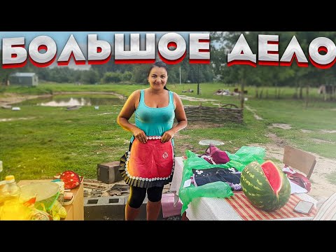 Видео: Печки разбираем и получается хата-студия.Баран Гоги заматерел и начал бодаться .Распаковка посылки .