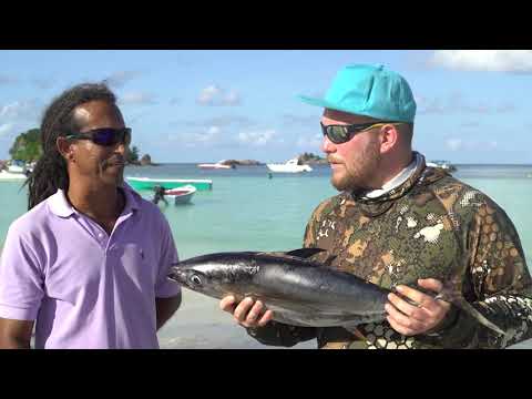 Видео: Дикие Сейшелы   первая серия. © Дикий. Охота и рыбалка.