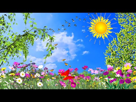 Видео: Солнышко_2022 (выпуск 7)