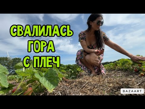 Видео: VLOG 🇩🇪 МУЖ ВЕРНУЛСЯ | ПЕРЕРЫВ В РЕМОНТЕ | ПОСЛЕДНЯЯ КЛУБНИКА 🍓 СОБИРАЕМ НОВЫЕ ШКАФЫ