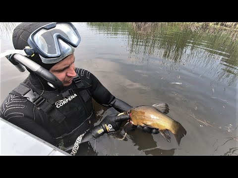 Видео: ПОДВОДНАЯ ОХОТА на средней Волге