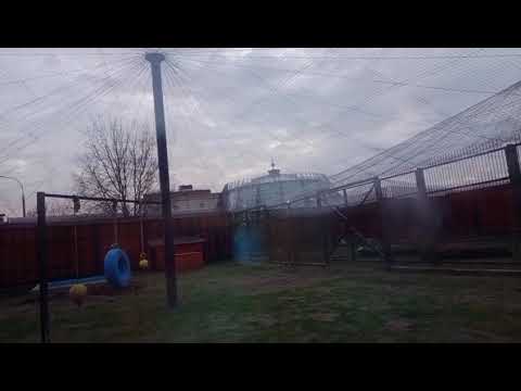 Видео: BCGY8220 Шархан 06.11.2025 Видео от Ивана