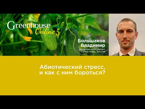 Видео: Стресс Растений. Виды стресса! Что делать? Защита от стресса растений. Владимир Большаков