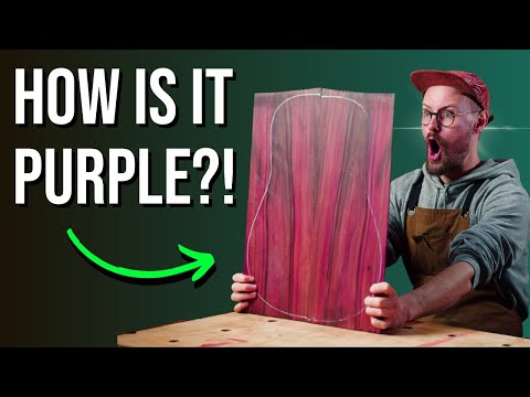 Видео: ПУРПУРНЫЕ ДЕРЕВЬЯ?! - Dalbergia Maritima - Томми Тонвудс