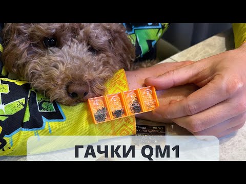 Видео: Гачки QM1 |  Збір на БпАК "ГОР"