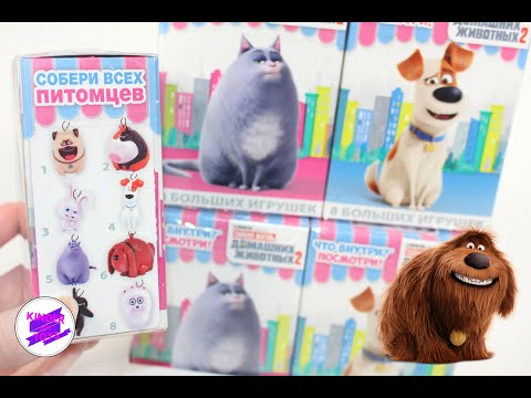 Видео: Тайная жизнь домашних животных 2. Хэппи бокс. Сладкая сказка.