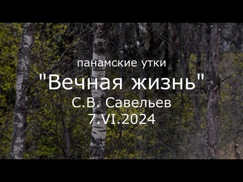 Видео: С.В. Савельев - Вечная жизнь