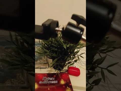 Видео: Тыбыштардын сыпаттары 📝📗Негизги сыпаттар жана Кошумча сыпаттар🕋📄