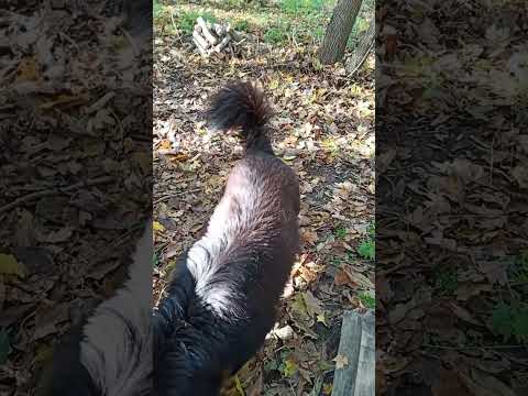 Видео: 29 октября 2025 г.