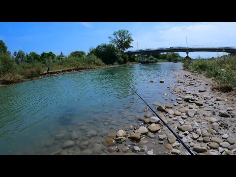 Видео: Рибалка На Річці у Липні. КОЛОМИЯ