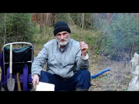 Видео: 29   Патогенные зоны, отпад деревьев и естественное изреживание насаждений