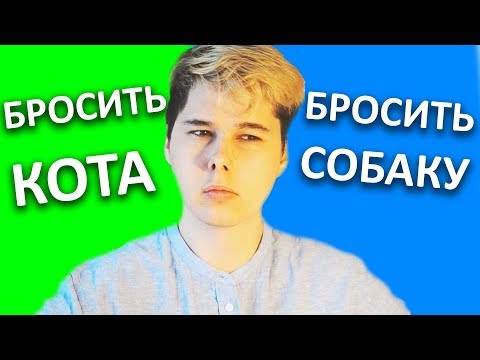 Видео: САМЫЙ СЛОЖНЫЙ ВЫБОР В ЖИЗНИ ДЛЯ МЕНЯ КОТ ИЛИ СОБАКА