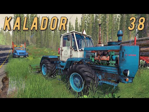 Видео: FS 19 - Пилю лес.  Погрузка леса - KALADOR фермер лесоруб # 38