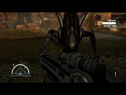 Видео: Aliens vs Predator 2010 || Максимальная сложность || Десантник 3/6 (Прохождение без комментариев)