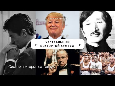 Видео: Төрөлхийн хаан, мафийн толгойлогч, эршүүд эмэгтэй хүн, жинхэнэ алтруист- Уретральный векторын талаар