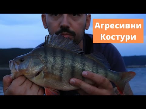 Видео: Разбихме костурите на язовир Кърджали (риболов с попер, кастмастер и джиг)