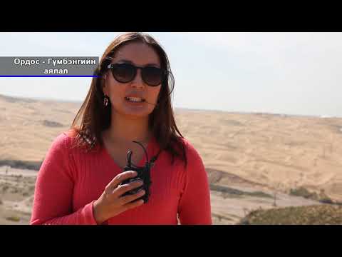 Видео: Ордос, Гүмбэнгийн аялал 3-р хэсэг