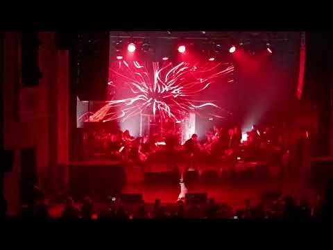 Видео: Северный флот. Тодд 15 октября 2025. Новокузнецк. Марионетки 