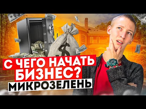 Видео: Бизнес микрозелень!? Как начать уже сегодня?!