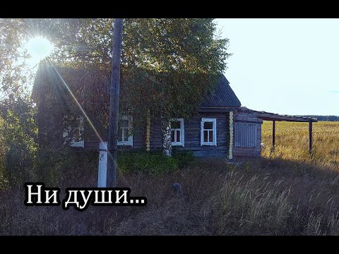 Видео: Заброшенная деревня МАЛЫЙ КОЛОЯРЧИК, Пензенская область