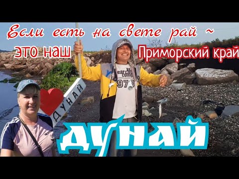 Видео: Дунай, Приморский край - море, рыбалка и радиация