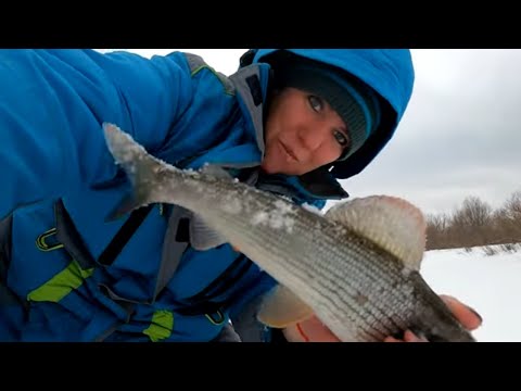 Видео: На таежных реках в первый день апреля /  Весенняя рыбалка на хариуса на таежных реках / Таежный