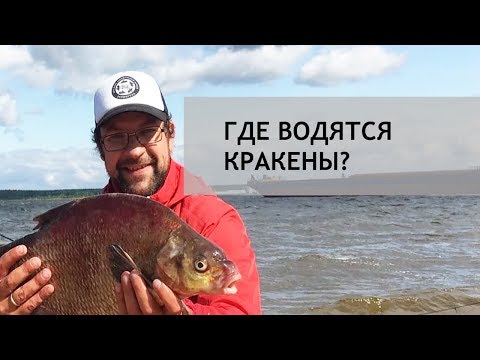 Видео: Где водятся Кракены? Лещ на Рыбинском водохранилище