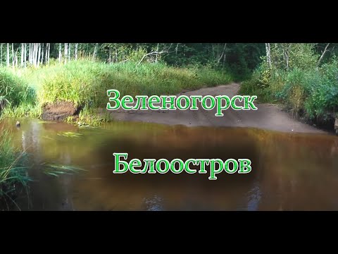 Видео: Зеленогорск - Белоостров