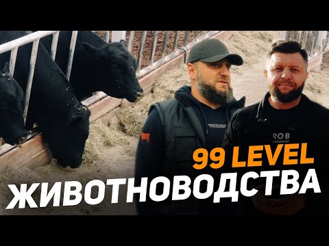 Видео: Как содержат и выращивают черных ангусов в Северном Казахстане! Хозяйства страны - Атамекен-Агро!