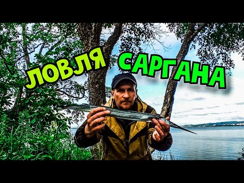 Видео: ДЕ-ФРИЗ. АМУРСКИЙ ЗАЛИВ. РЫБАЛКА НА САРГАНА. ЧИЛИМ НА РАКОЛОВКИ.