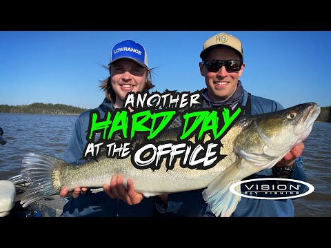 Видео: Большой судак на лету с активной целью Lowrance